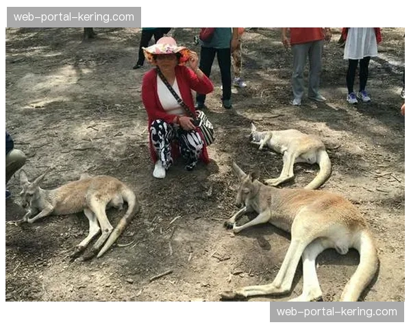专访澳大利亚新星马克·纳瓦坎：首次入选小袋鼠队训练营的感受